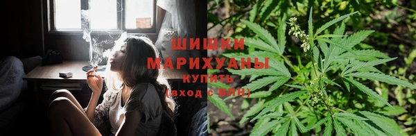 винт Баксан